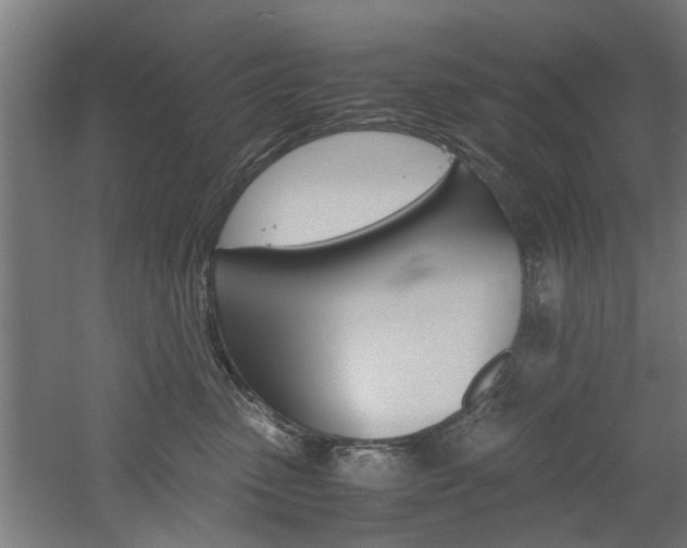 X0000060750475200511100942