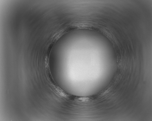 X0000060750478200511100942