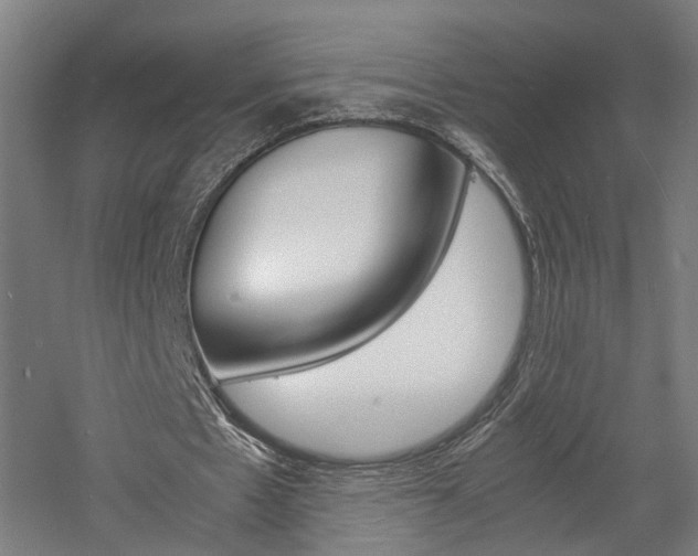X0000060750481200511100942