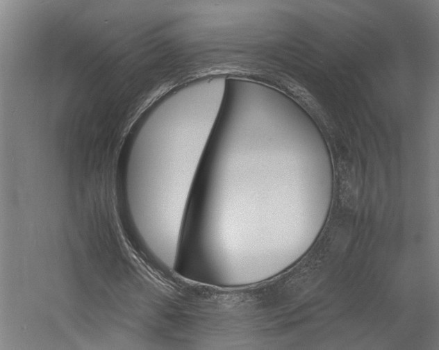 X0000060750482200511100942