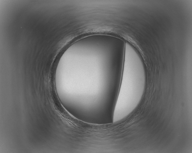 X0000060750483200511100942