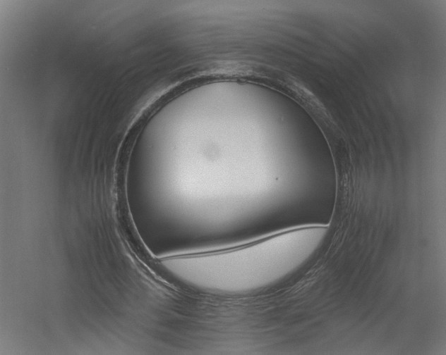 X0000060750484200511100942