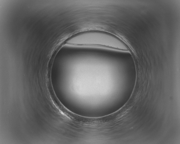 X0000060750485200511100942