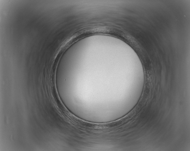 X0000060750487200511100942