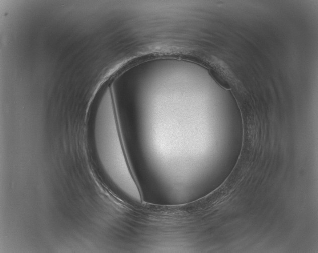 X0000060750488200511100942