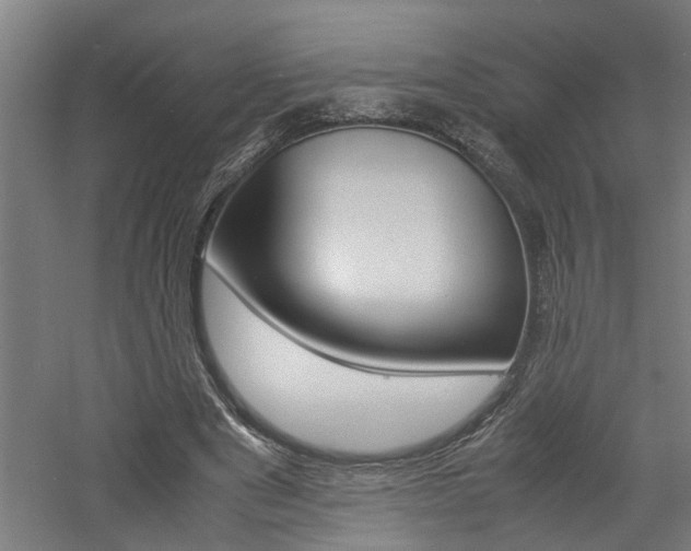 X0000060750489200511100942