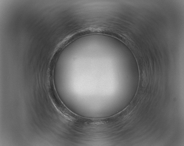 X0000060750492200511100941