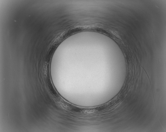 X0000060750495200511100941