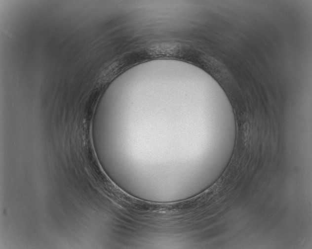 X0000060750498200511100941
