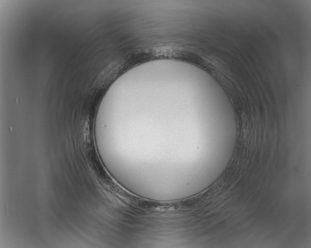 X0000060750502200511100941