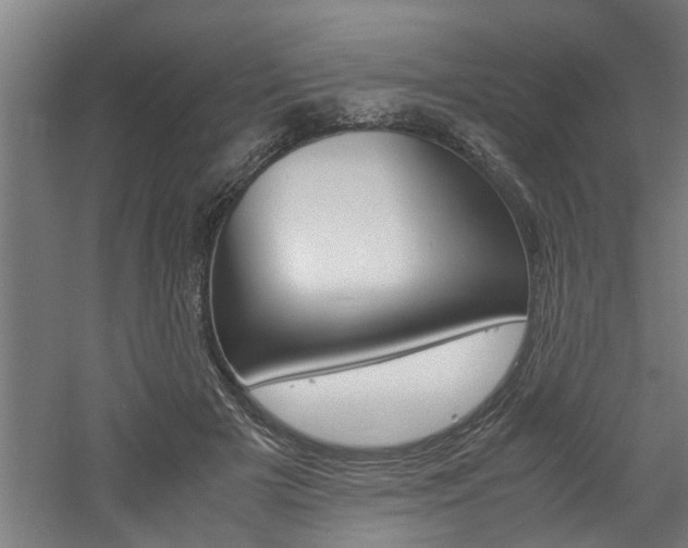 X0000060750505200511100941