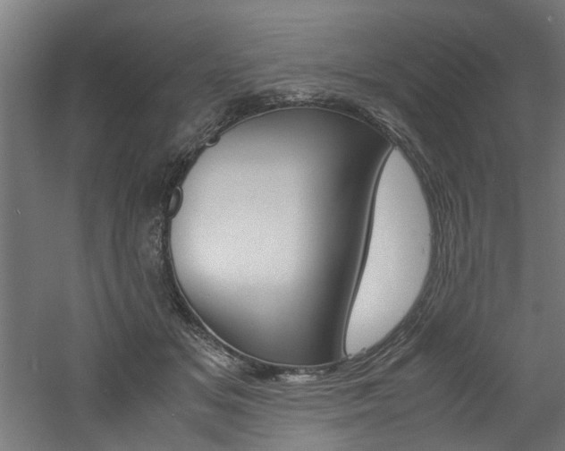 X0000060750509200511100941