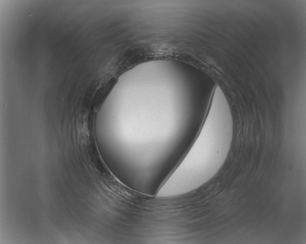 X0000060750516200511100941