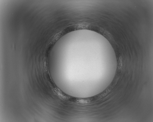 X0000060750522200511100941