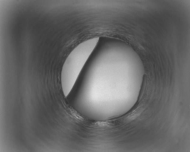 X0000060750528200511100941