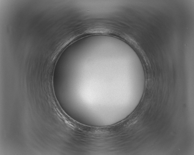 X0000060750529200511100940