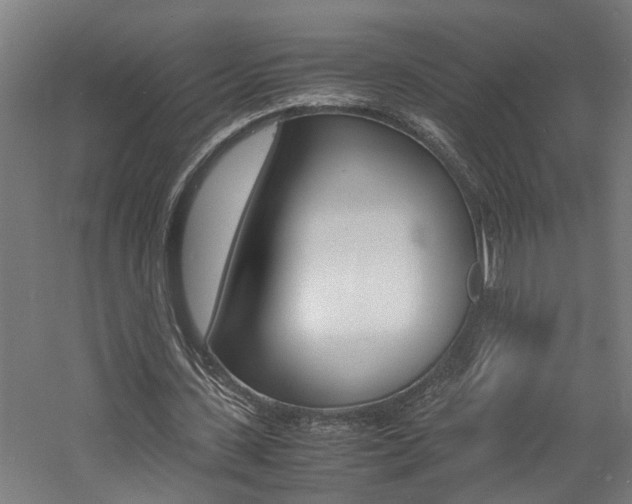 X0000060750531200511100940