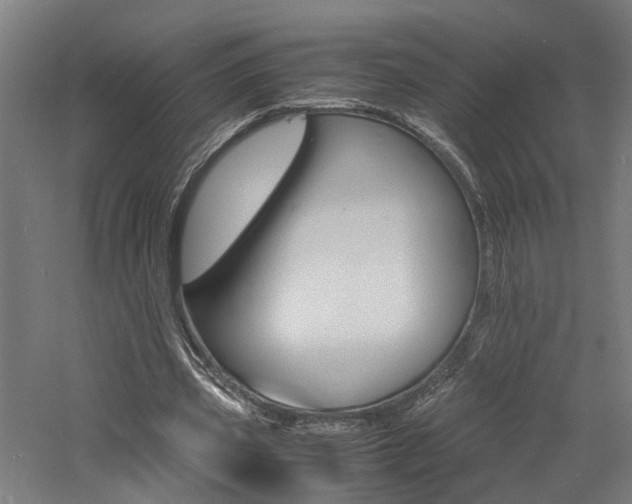 X0000060750533200511100940
