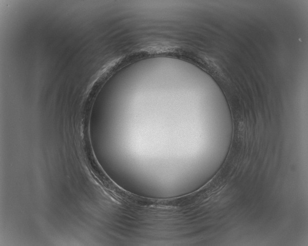 X0000060750539200511100940