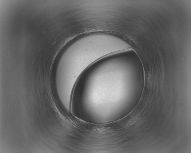 X0000060750540200511100940