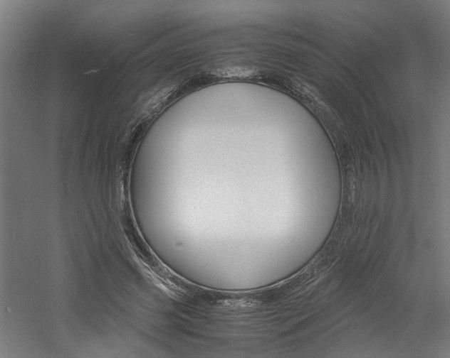 X0000060750541200511100940