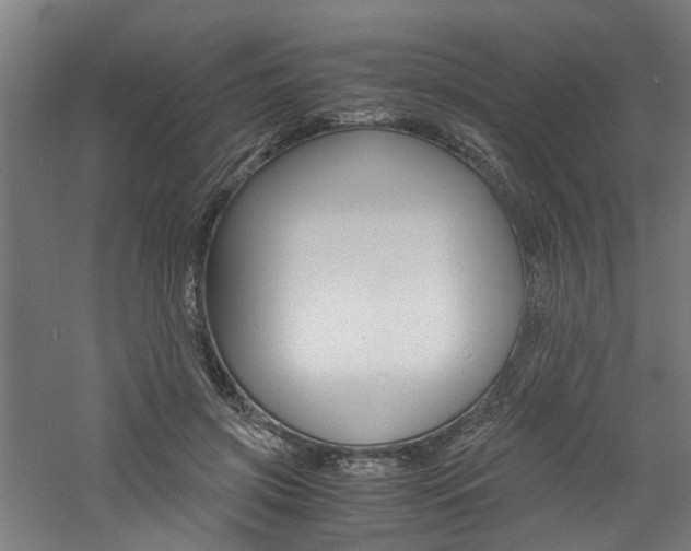 X0000060750549200511100940