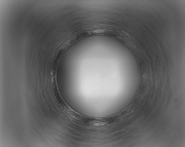 X0000060750555200511100941
