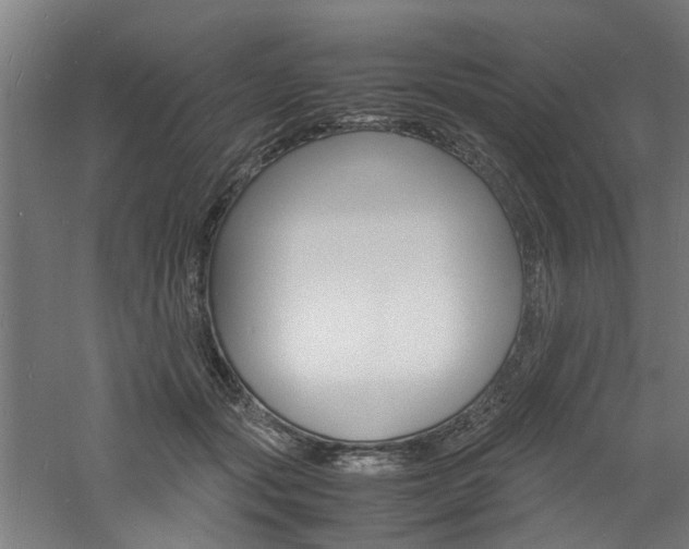 X0000060750557200511100941