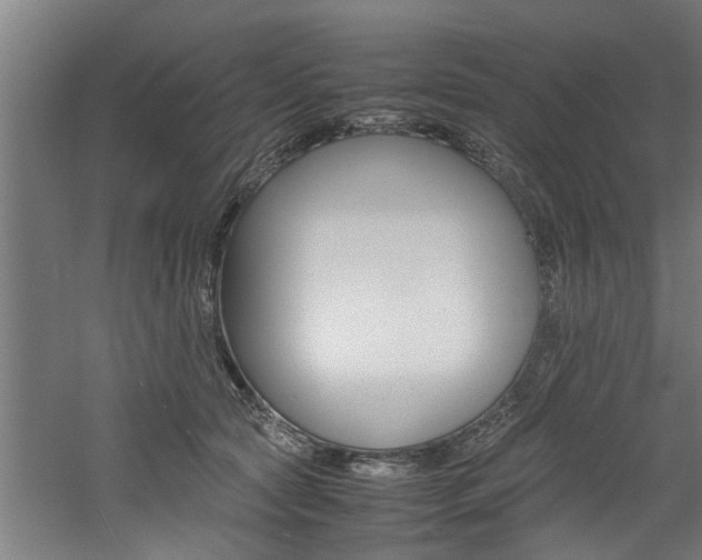 X0000060750561200511100941