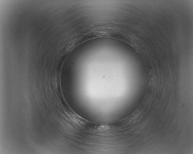 X0000060750562200511100941
