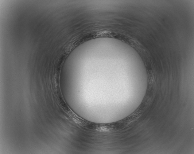 X0000060750565200511100941