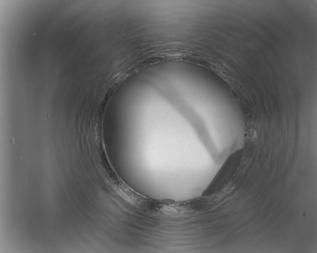 X0000060750568200511100941