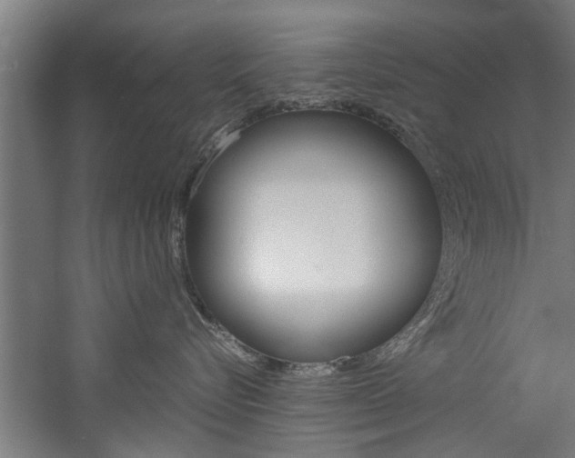 X0000060750576200511100941