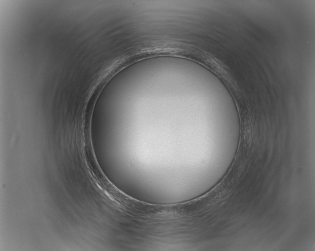 X0000060750578200511100940