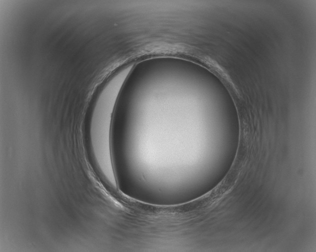 X0000060750581200511100940