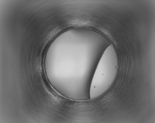 X0000060750582200511100940