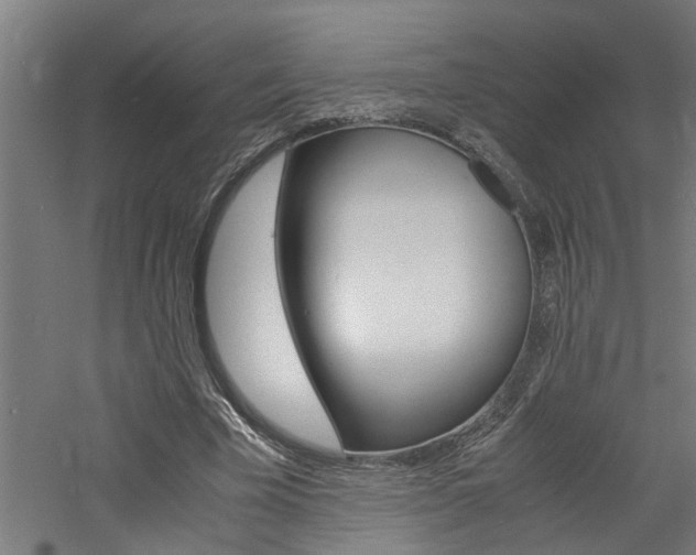 X0000060750585200511100940