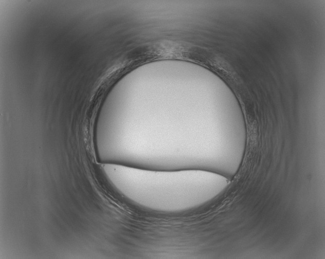 X0000060750587200511100940