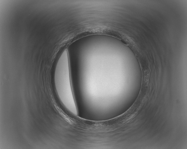 X0000060750589200511100940