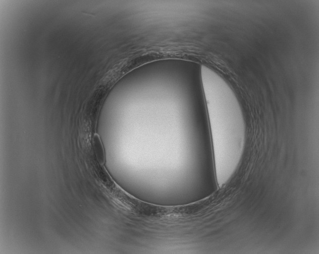 X0000060750593200511100940