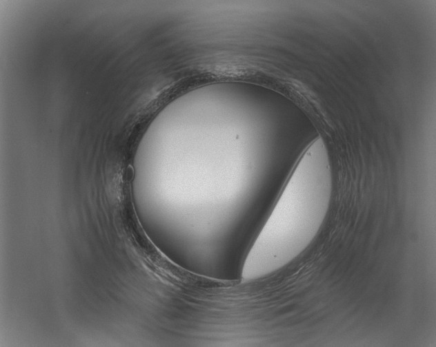 X0000060750596200511100940