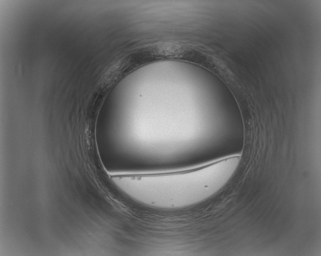 X0000060750597200511100940
