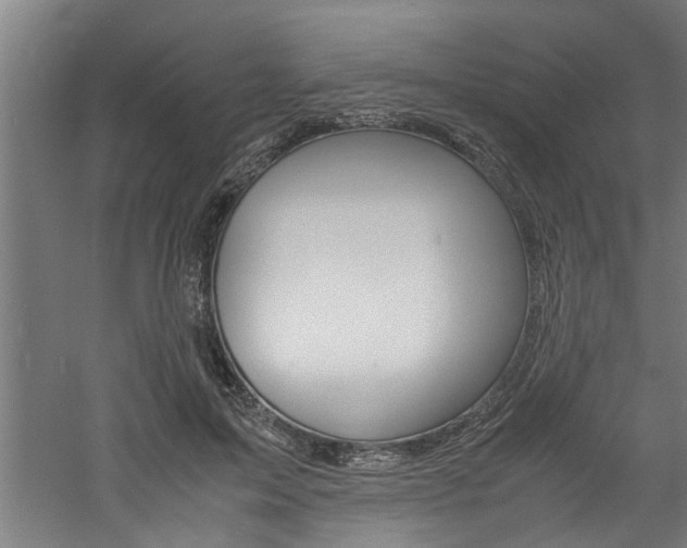 X0000060750599200511100940