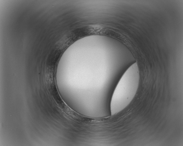 X0000060750602200511100940
