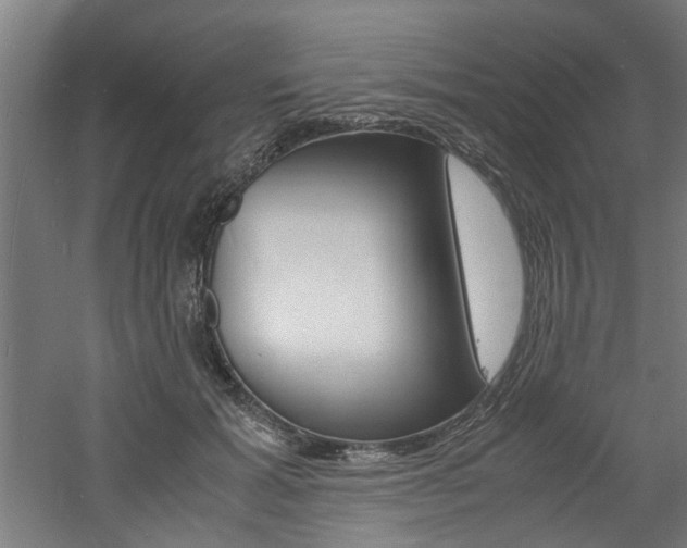 X0000060750605200511100940