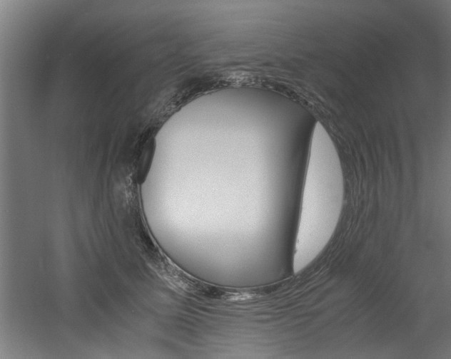 X0000060750611200511100939
