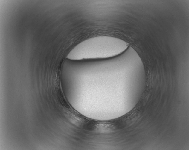 X0000060750614200511100939