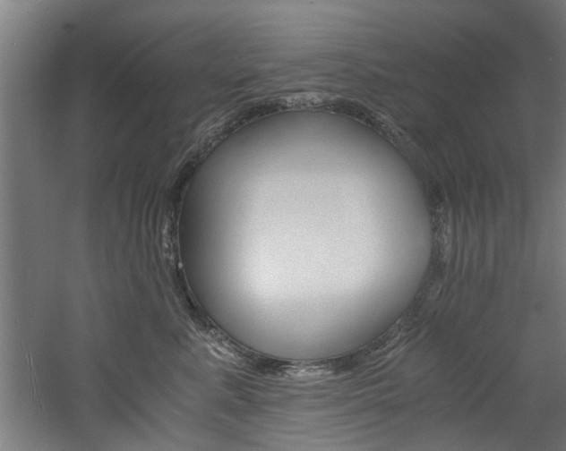 X0000060750619200511100939
