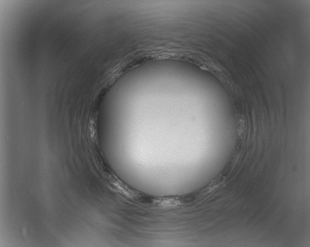 X0000060750621200511100939