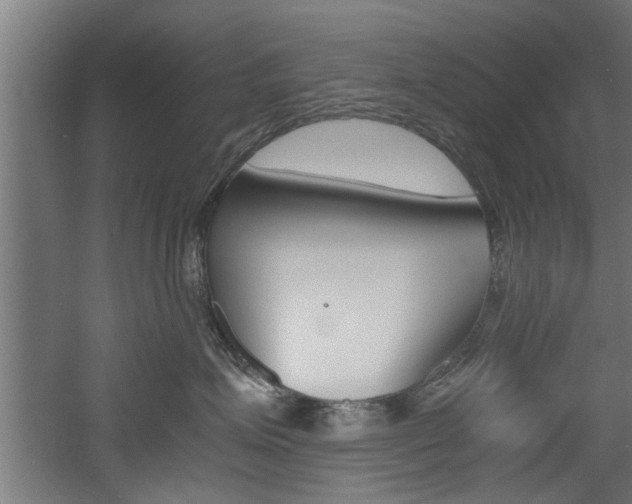 X0000060750623200511100939